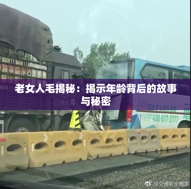 老女人毛揭秘：揭示年龄背后的故事与秘密