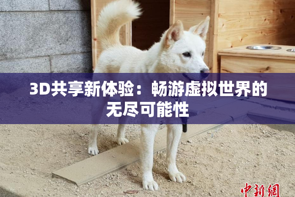 3D共享新体验：畅游虚拟世界的无尽可能性