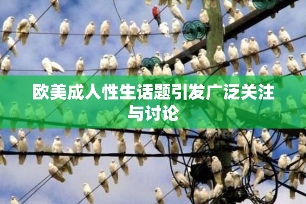 欧美成人性生话题引发广泛关注与讨论