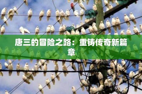 唐三的冒险之路：重铸传奇新篇章