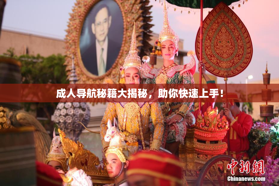 成人导航秘籍大揭秘，助你快速上手！