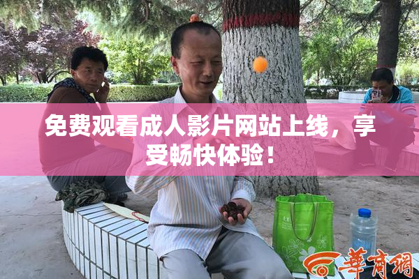免费观看成人影片网站上线，享受畅快体验！