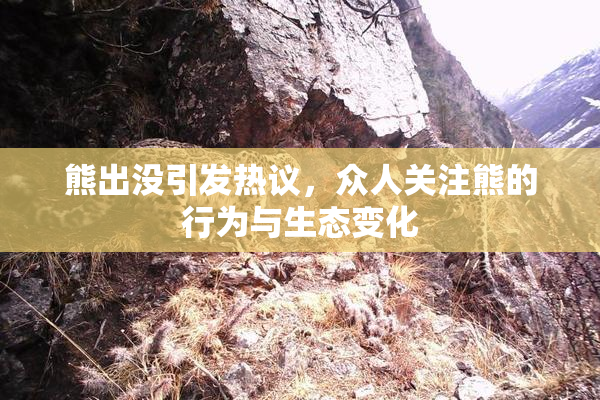 熊出没引发热议，众人关注熊的行为与生态变化