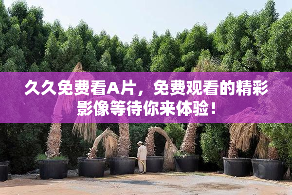 久久免费看A片，免费观看的精彩影像等待你来体验！