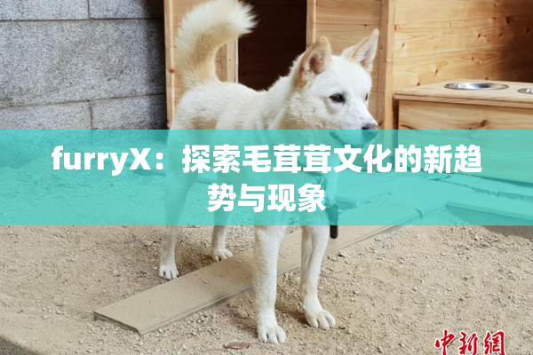 furryX：探索毛茸茸文化的新趋势与现象
