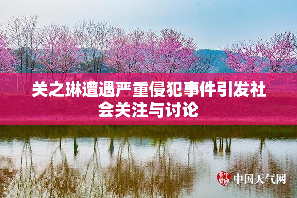 关之琳遭遇严重侵犯事件引发社会关注与讨论