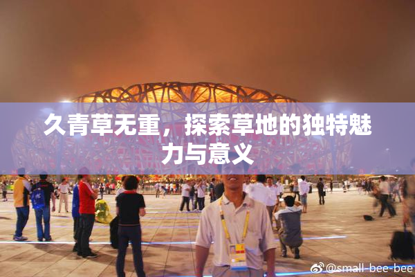 久青草无重，探索草地的独特魅力与意义