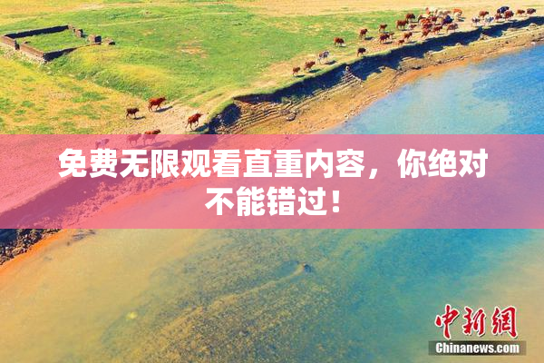 免费无限观看直重内容，你绝对不能错过！