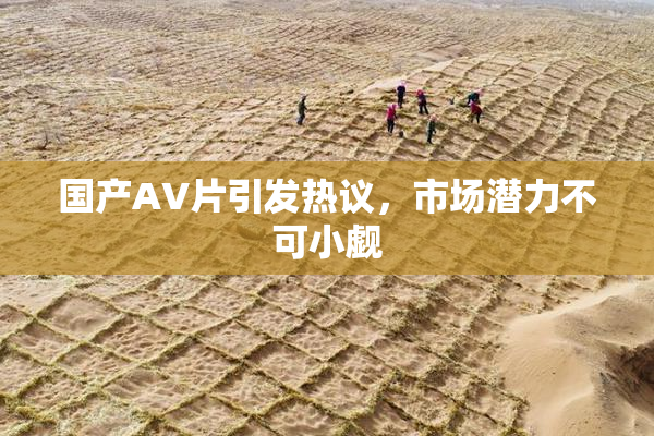 国产AV片引发热议，市场潜力不可小觑
