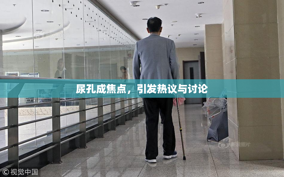 尿孔成焦点，引发热议与讨论