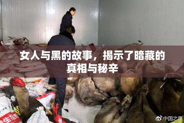 女人与黑的故事，揭示了暗藏的真相与秘辛