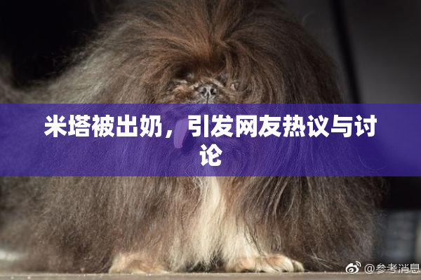 米塔被出奶，引发网友热议与讨论