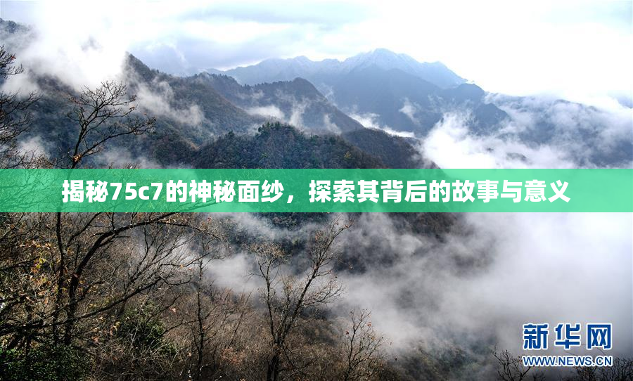 揭秘75c7的神秘面纱，探索其背后的故事与意义