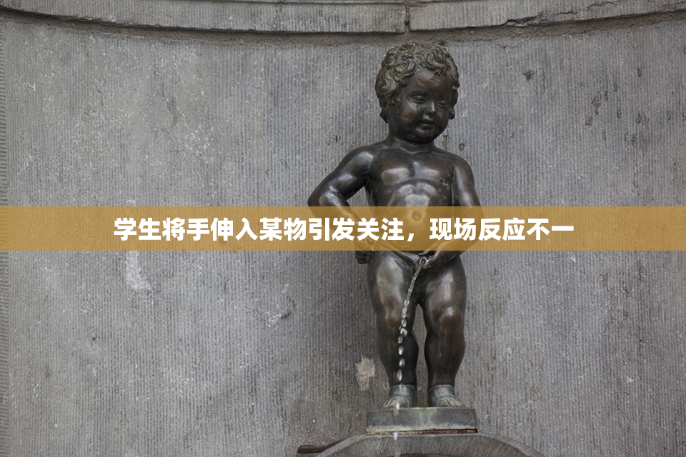 学生将手伸入某物引发关注，现场反应不一
