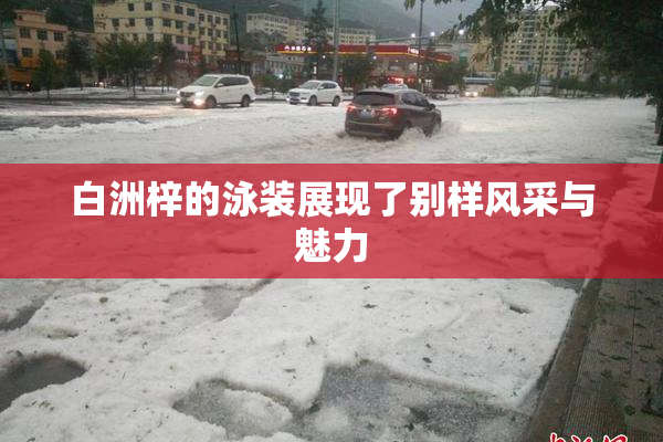 白洲梓的泳装展现了别样风采与魅力