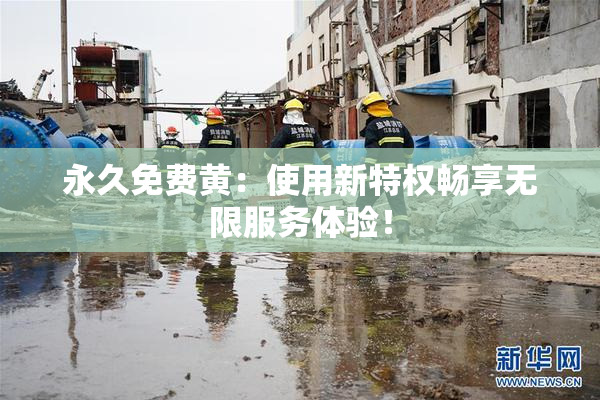 永久免费黄：使用新特权畅享无限服务体验！