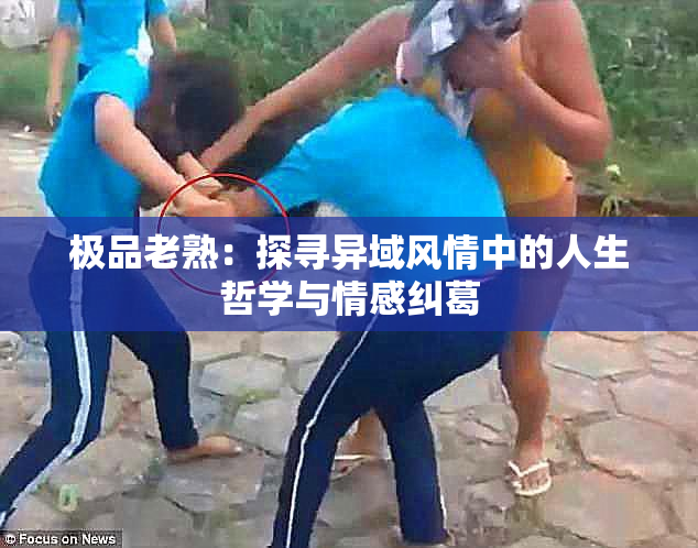 极品老熟：探寻异域风情中的人生哲学与情感纠葛