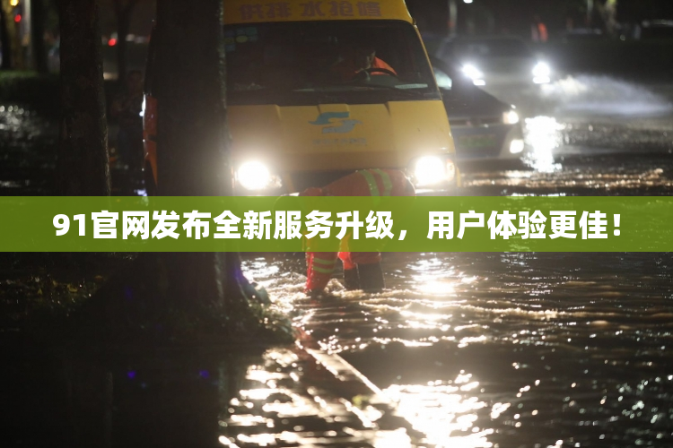 91官网发布全新服务升级，用户体验更佳！
