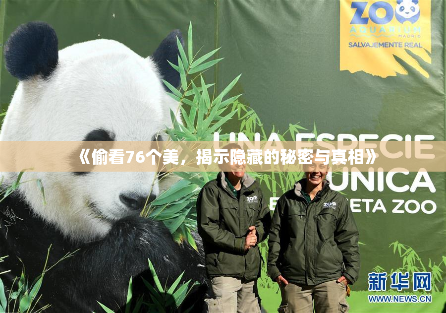 《偷看76个美，揭示隐藏的秘密与真相》