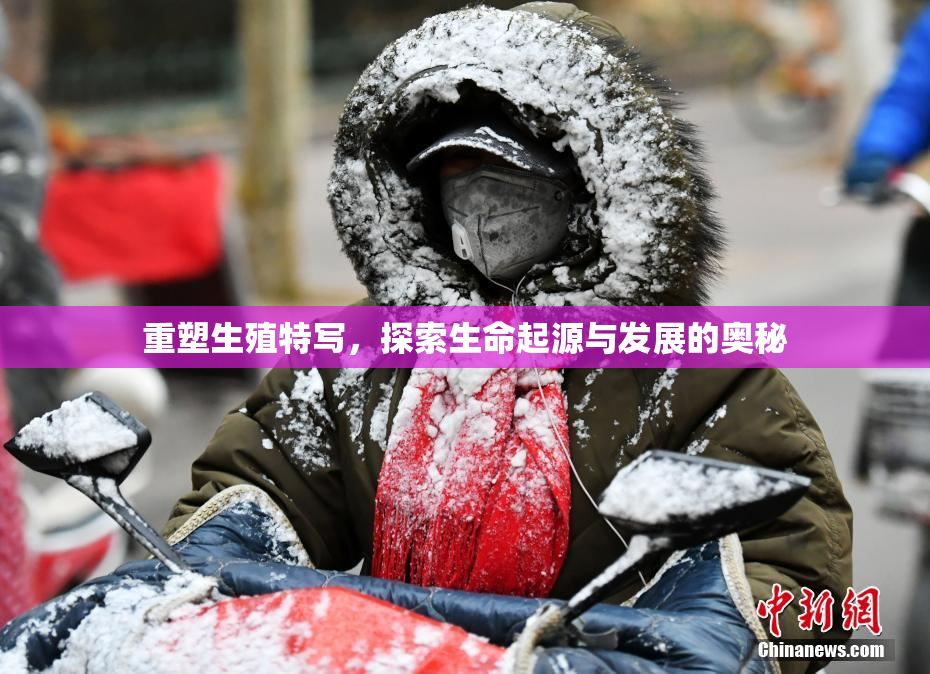 重塑生殖特写，探索生命起源与发展的奥秘