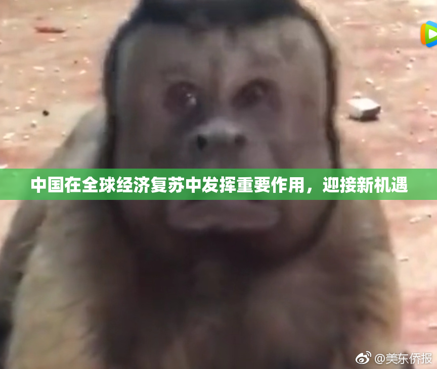 中国在全球经济复苏中发挥重要作用，迎接新机遇