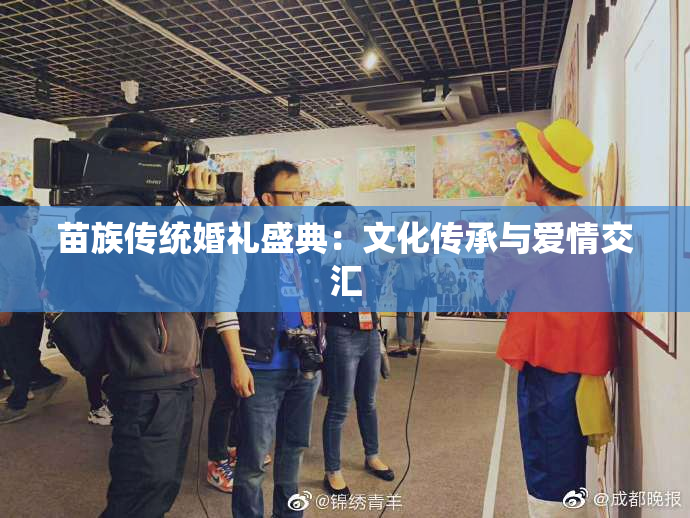 苗族传统婚礼盛典：文化传承与爱情交汇