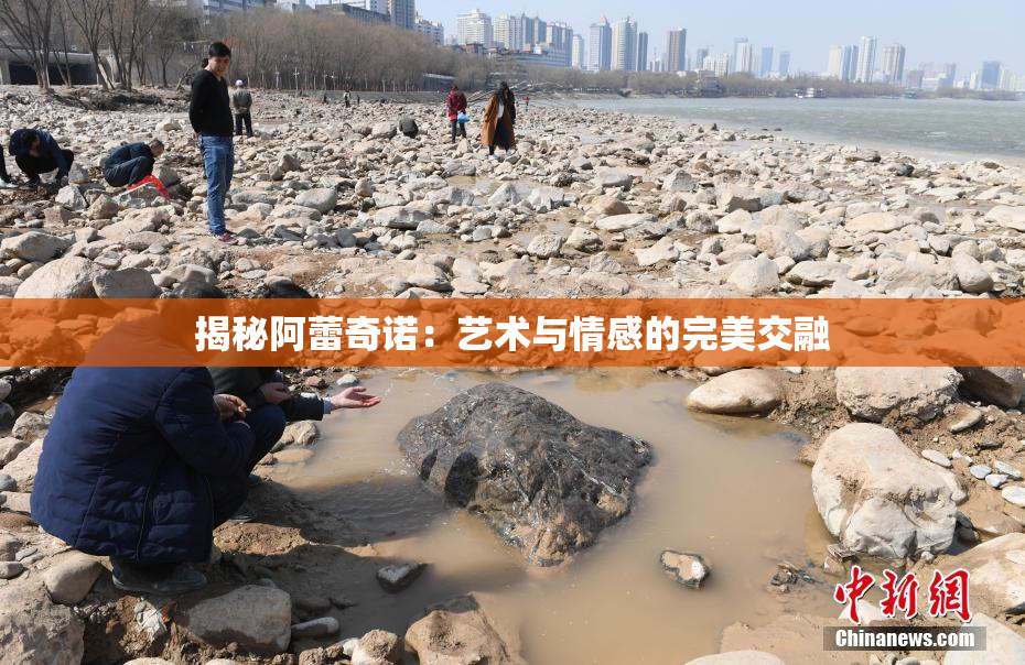 揭秘阿蕾奇诺：艺术与情感的完美交融