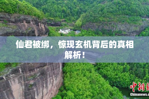仙君被绑，惊现玄机背后的真相解析！