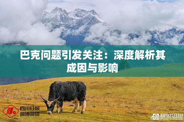 巴克问题引发关注：深度解析其成因与影响