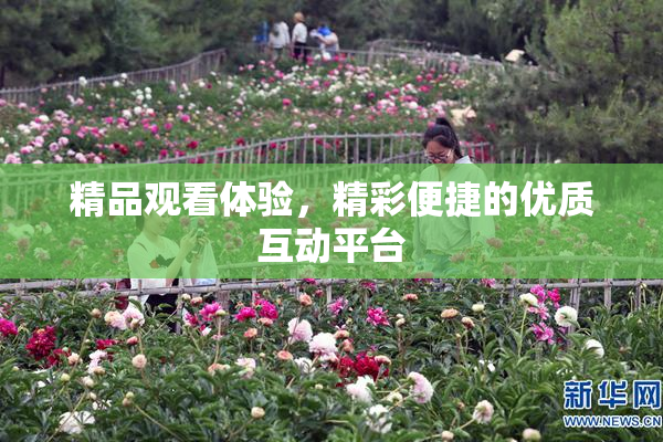 精品观看体验，精彩便捷的优质互动平台