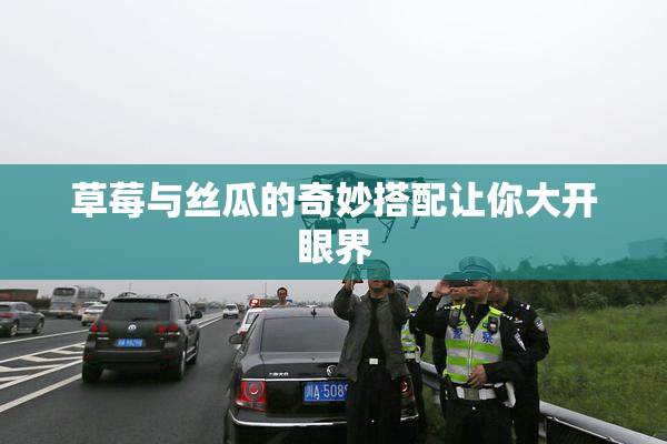 草莓与丝瓜的奇妙搭配让你大开眼界