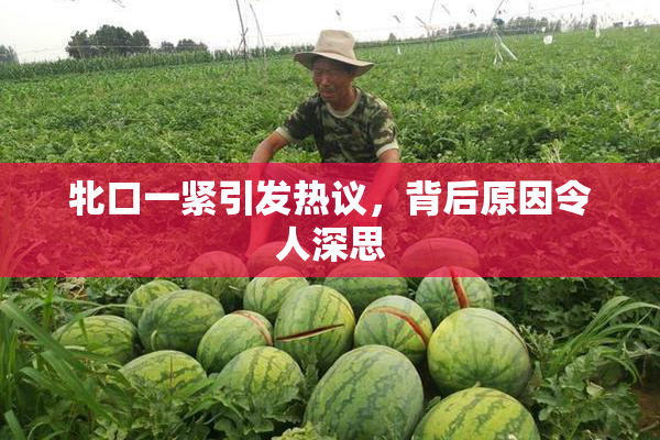 牝口一紧引发热议，背后原因令人深思