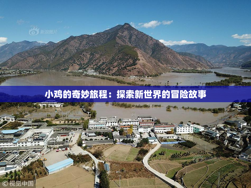 小鸡的奇妙旅程：探索新世界的冒险故事