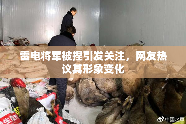 雷电将军被捏引发关注，网友热议其形象变化