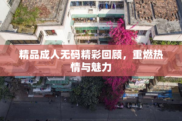 精品成人无码精彩回顾，重燃热情与魅力