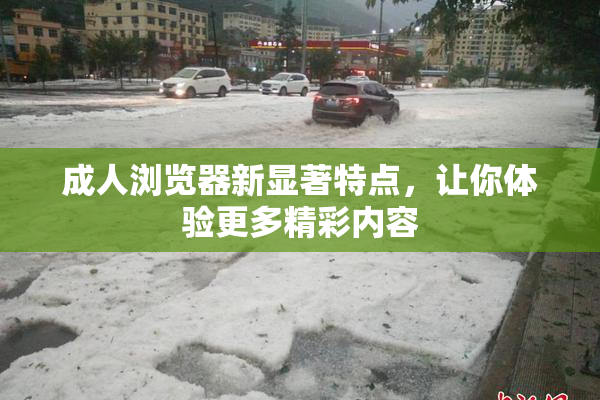成人浏览器新显著特点，让你体验更多精彩内容