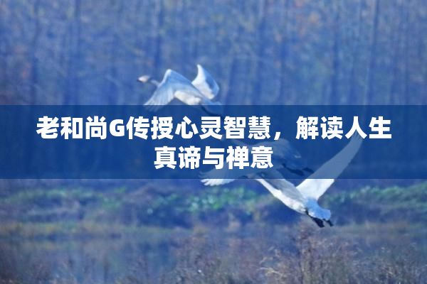 老和尚G传授心灵智慧，解读人生真谛与禅意