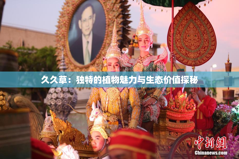 久久草：独特的植物魅力与生态价值探秘