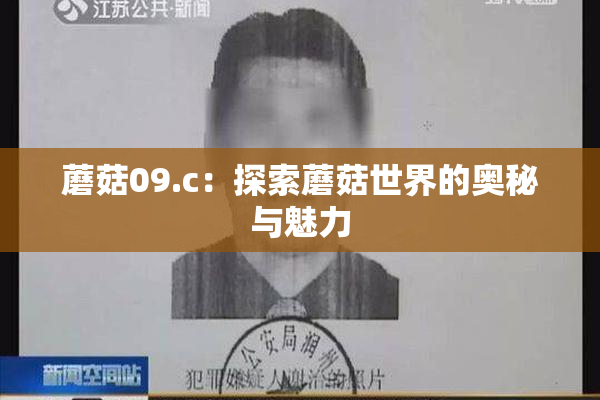 蘑菇09.c：探索蘑菇世界的奥秘与魅力