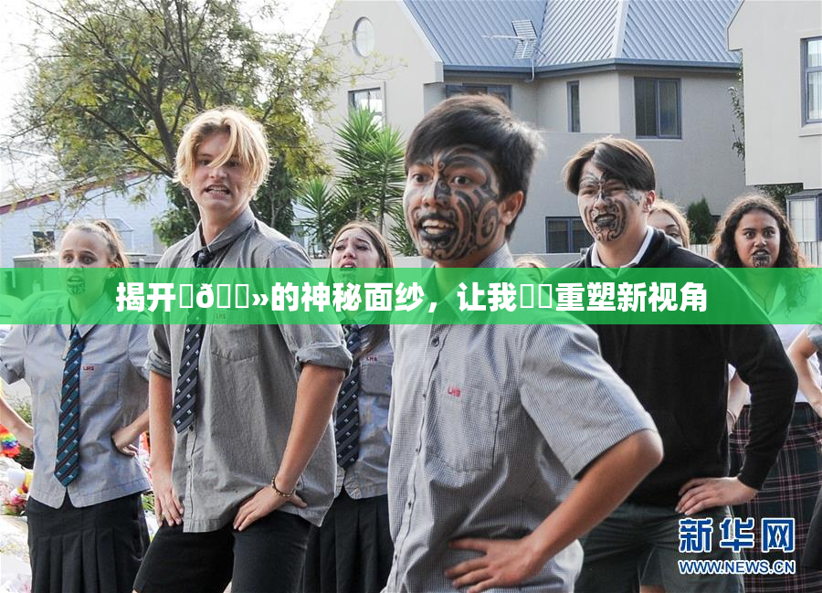 揭开‌🐻的神秘面纱，让我❌‌重塑新视角