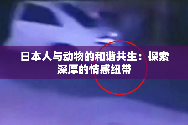 日本人与动物的和谐共生：探索深厚的情感纽带