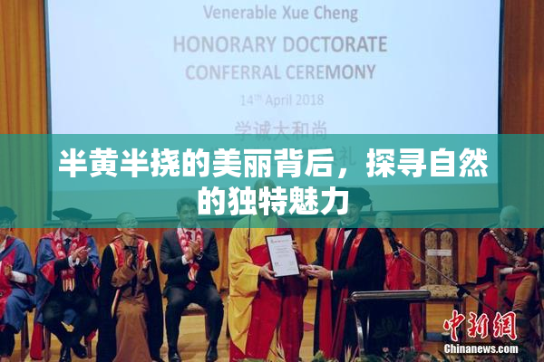 半黄半挠的美丽背后，探寻自然的独特魅力