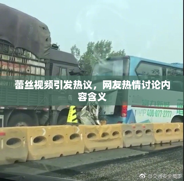 蕾丝视频引发热议，网友热情讨论内容含义