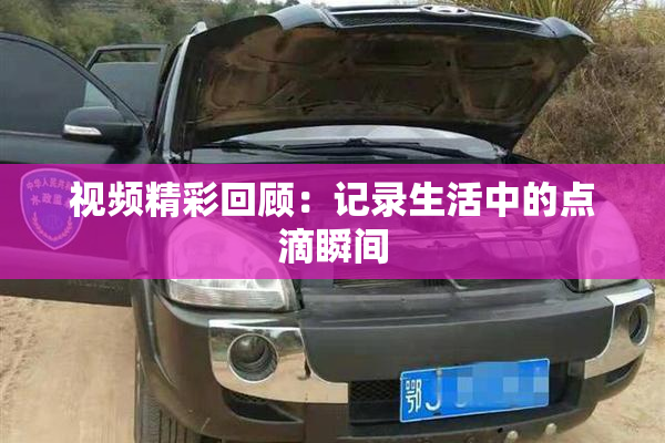 视频精彩回顾：记录生活中的点滴瞬间