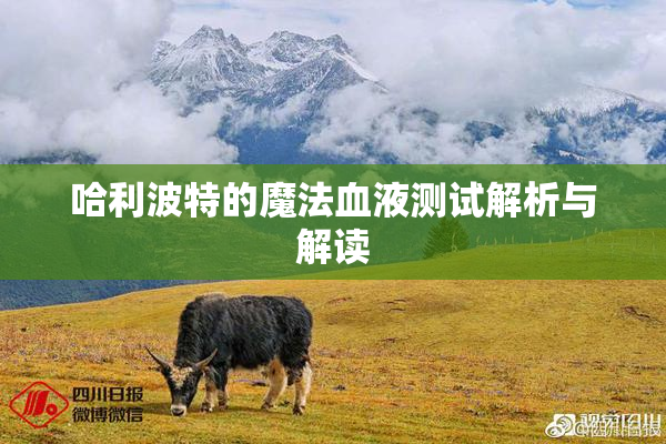 哈利波特的魔法血液测试解析与解读