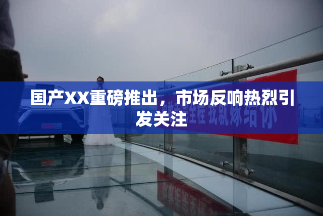 国产XX重磅推出，市场反响热烈引发关注