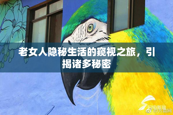 老女人隐秘生活的窥视之旅，引揭诸多秘密