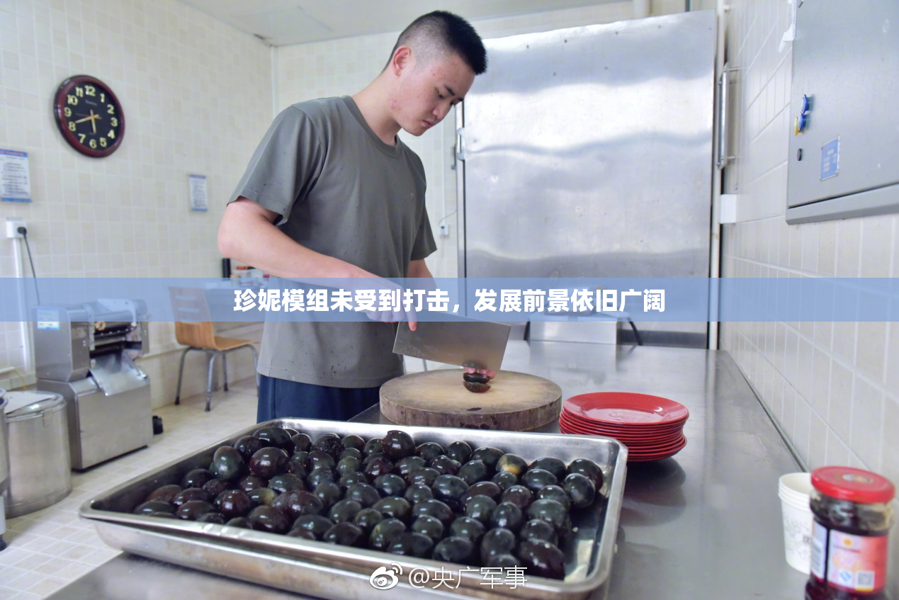 珍妮模组未受到打击，发展前景依旧广阔