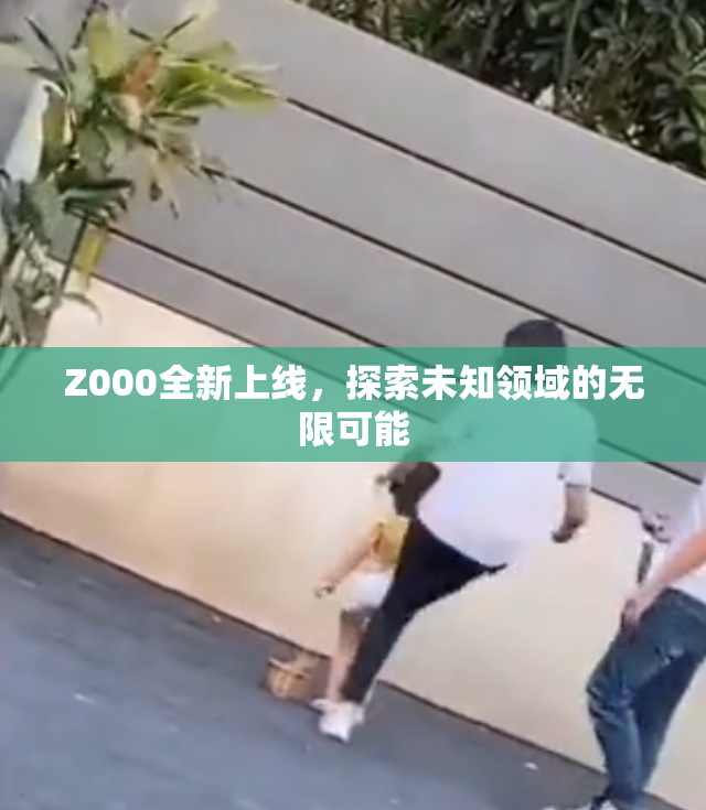 Z000全新上线，探索未知领域的无限可能
