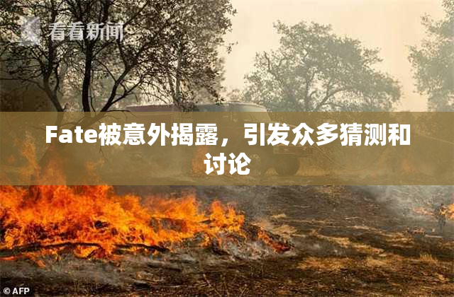 Fate被意外揭露，引发众多猜测和讨论
